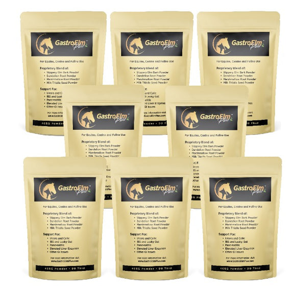 GastroElm Plus – 8 Pack